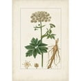 thumbnail image 3 of Turpin 14x18 Black Modern Framed Museum Art Print Titled - Antique Turpin Botanical I, 3 of 5