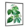 thumbnail image 2 of Designart 'Ancient Green Leaves Plants III' Traditional Framed Art Print, 2 of 4
