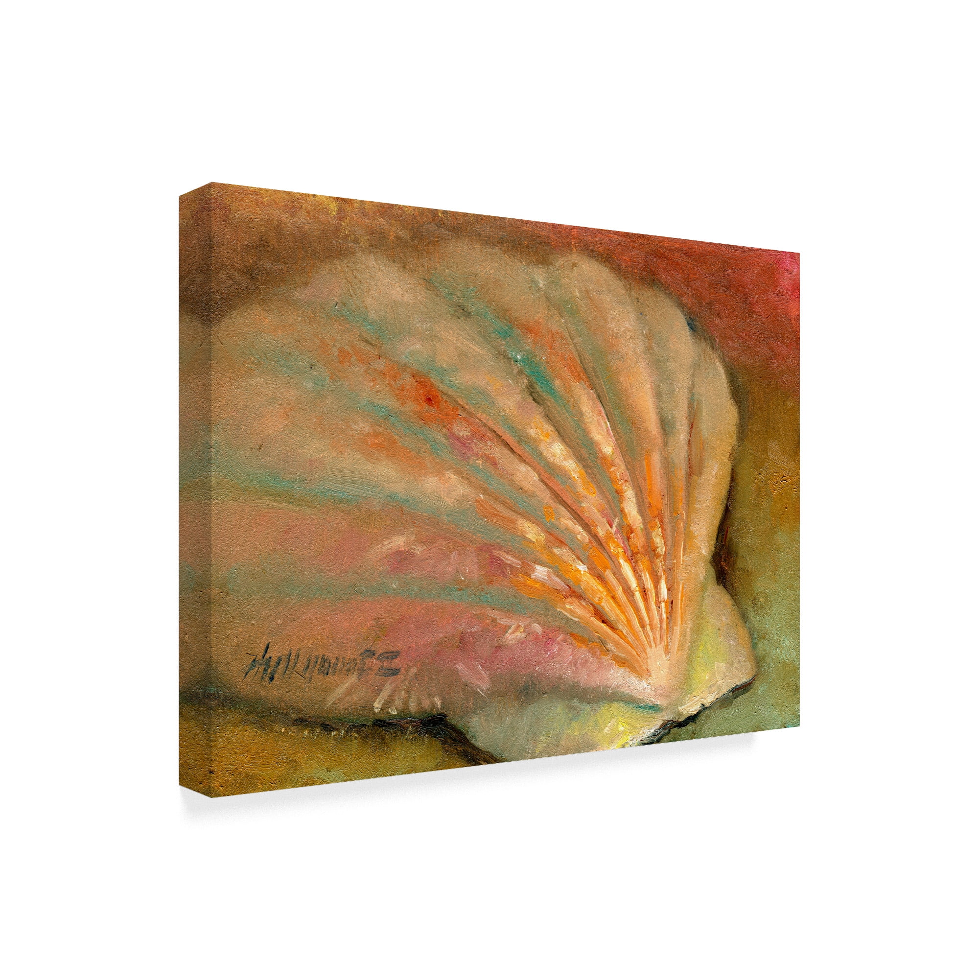 Trademark Fine Art 'Scallop Seashell' Canvas Art by Hall Groat Ii