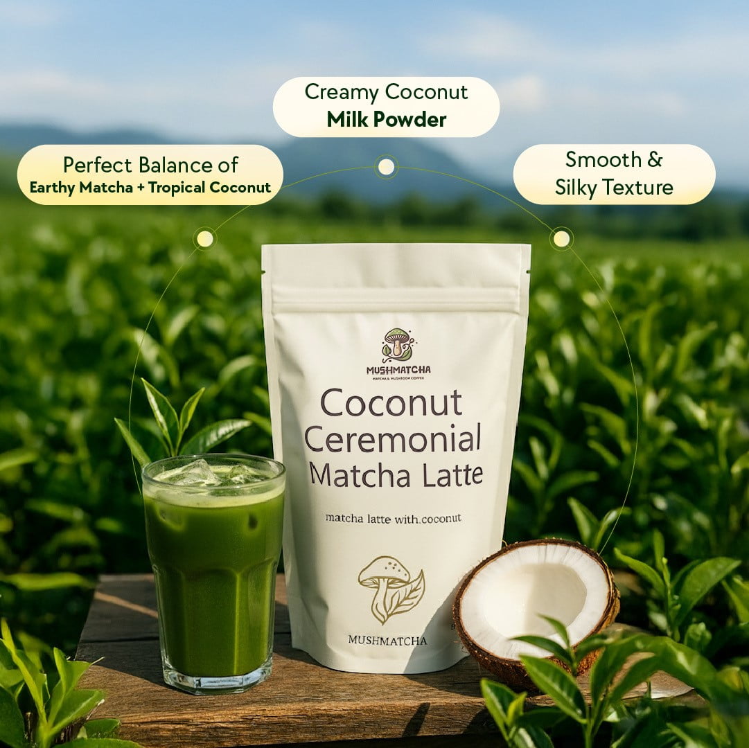 MushMatcha Ceremonial Matcha Latte Powder Coconut Dairy-Free Naturally Caffeinated 1 Count 3.5 oz