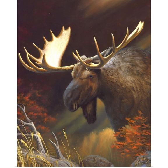 Great BIG Canvas | Rolled Leo Stans Poster Print entitled Moose Portrait