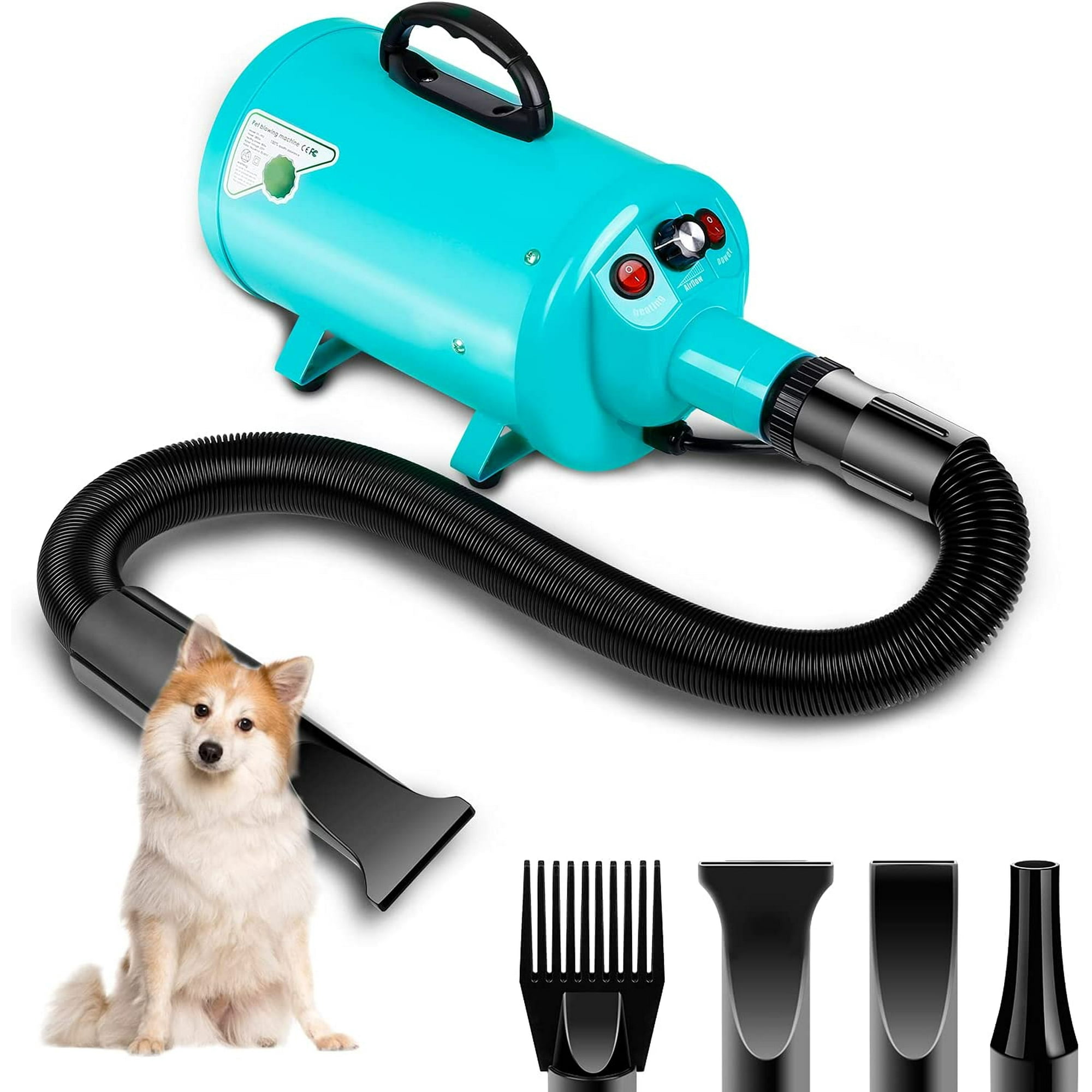 Can You Dry A Dog With A Hair Dryer