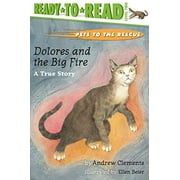 Dolores and the Big Fire : A True Story, Pre-Owned  Paperback  0689834403 9780689834400 Andrew Clements