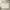 White-with 10 Drawers, variant on ChVans White Malm 10 Drawers Dresser for Bedroom, 55" Wide 37" Tall Dresser with 10 Drawers, Modern Large Wood Chest of Drawer Handle Free, Living Room, Entryway, Hallway, White
