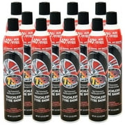 TS2 High Performance Touchless Tire Shine by FW1 Fast Wax (12 Pack)