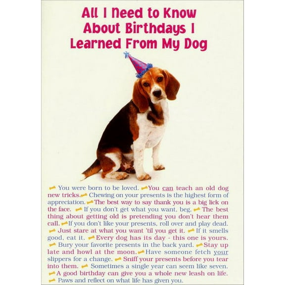 Portal Publications All I Need From Dog Funny / Humorous Birthday Card