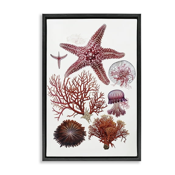 Stupell Industries Rosy Undersea Creatures Animals Painting Black Floater Framed Canvas Art Print Wall Art, 17 x 25