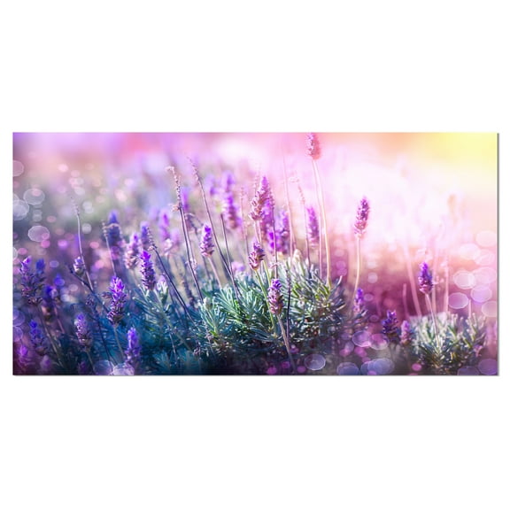 Designart 'Growing and Blooming Lavender ' Floral Canvas Art print