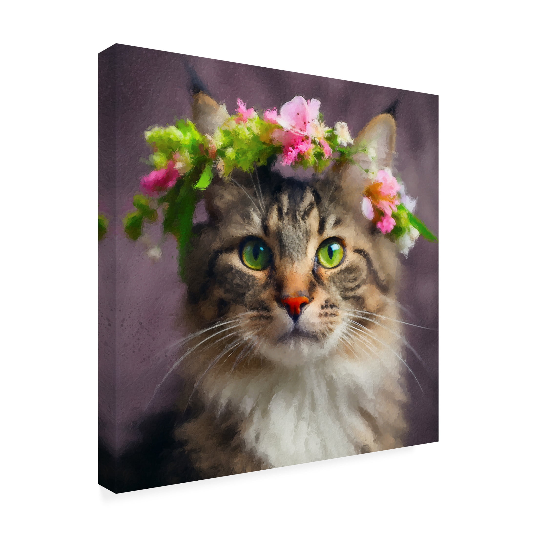Canvas Wall Art - Sean Parnell 'Cat Flower 2' Wall Art for Living Room, Bedroom, or Office Décor by Trademark Fine Art - 35 x 35 Inches