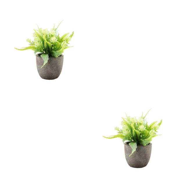 Planta artificial Inteprter de jade realista 2Conjunto rosa blanca