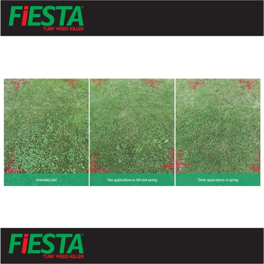 Fiesta Selective Post-Emergent Turf Weed Killer 1 Gallon Herbicide