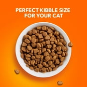 (2 pack) Iams Proactive Health Chicken Flavor Dry Cat Food, 22 Lb Bag