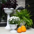 Bloem 12-in Grecian Urn Resin Planter - Casper White - Walmart.com