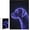 500 PCS, variant on 500 Piece Labrador Retriever with Black Background Puzzle, 20.5"x15" – Gift for Family, Jigsaw Puzzle