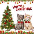thumbnail image 5 of Collar navideño para gato de 2 piezas con lazo y cascabel - Collar para gatito rojo y verde, 5 of 5