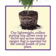 thumbnail image 4 of Esbenshade's Professional Lightweight Potting Mix, 14 Quart Bag - Soilless Blend for Indoor/Outdoor Plants - Raised Beds & Containers - Peat Moss, Perlite, Bark, Lime, 4 of 5