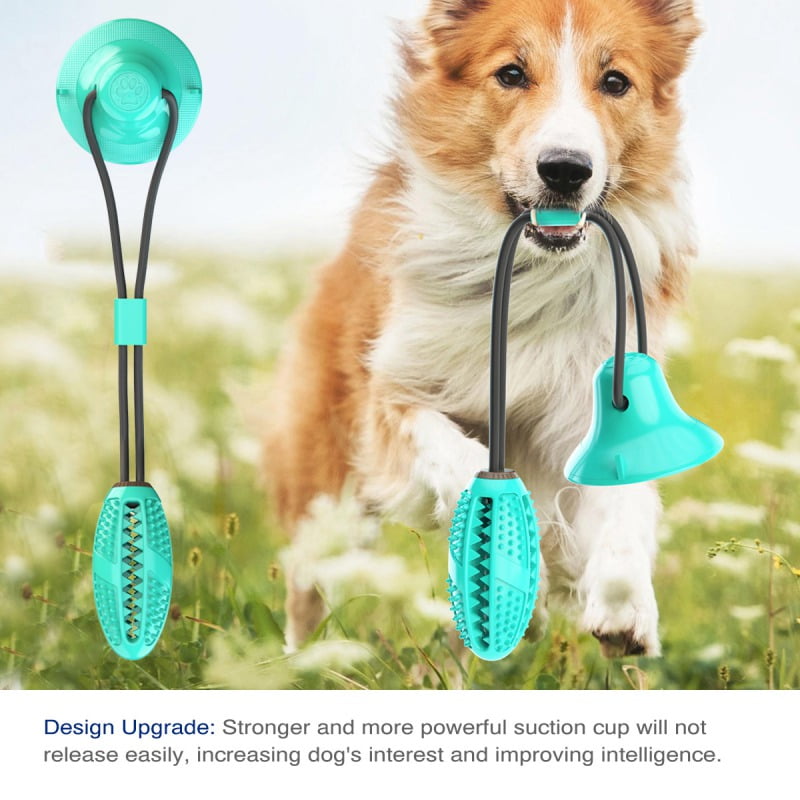 Dental Care for Dogs Puppy，Dog Teeth Cleaning Chew Toy Safe Elasticity Soft Multifunction Pet Molar Bite Toy Tug Rope Ball with Suction Cup Green