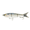Menhaden, variant on 6th Sense Speed Draw 5.5 in Saltwater 3-Joint Glide Bait Inshore Fishing Lure with Natural Swimming Action