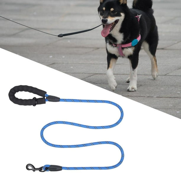 Puppy leash walmart 2025