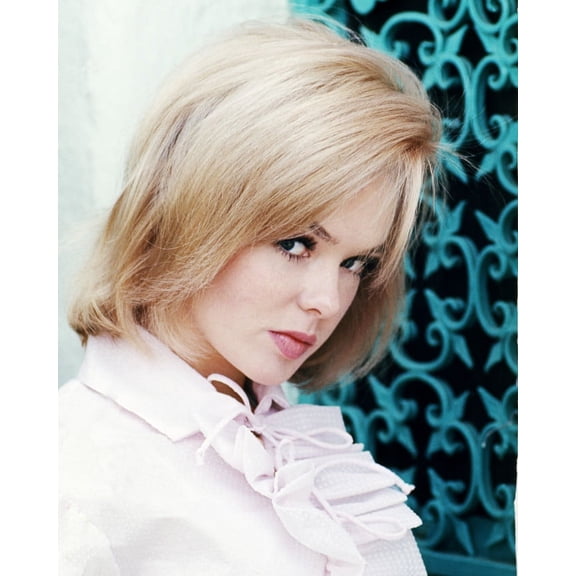 Joey Heatherton 24X36 Classic Hollywood Poster Pouting Pose