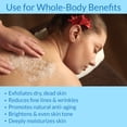 thumbnail image 5 of Whole Body Scrub - Infused with Coconut Oil, Exfoliating Sugar Scrub for Smooth and Soft Skin, Exfoliates & Restores Skin's Natural Biosphere, Fragrance Free 20 oz, 5 of 7