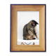 thumbnail image 1 of La acción de disparar animales gracioso gato Marco de imagen marco de escritorio, 1 of 4