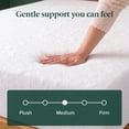 thumbnail image 5 of Zinus Spa Sensations Serenity 10" Full Mattress, Memory Foam Mattress with Green Tea and Pressure Relief, 5 of 12