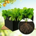 thumbnail image 3 of Plant Grow Bags Potato Fruit Vegetable Garden Planter Growing Bag Black 1-5PCS, 3 of 7