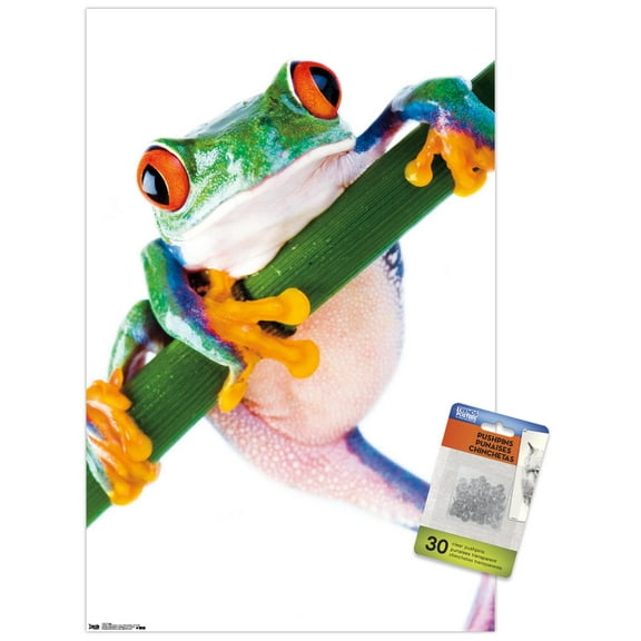 Tree Frog Wall Poster with Push Pins, 14.725" x 22.375"
