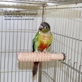 thumbnail image 3 of Bird Cage Perch Toy, Wooden Exercise Bird Perch Stand Thread Design Slip Resistance Grinding Claws  For Conures For Cockatiels For Love Birds, 3 of 8