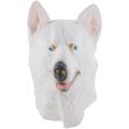 thumbnail image 1 of KAKOWELY Máscara de látex para perro de Halloween, ideal para carnaval, broma, disfraz divertido, accesorios de cosplay (blanco), 1 of 4