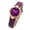 Purple -AE06, variant on Resicozy Women's Vintage Watch Quartz Watch with Leather Strap Dress Wristwatch for Ladies Pink