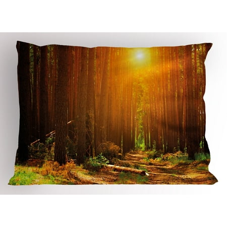 Landscape Pillow Sham Sunset Dawn Sun Rise Beams in Forest Tree Nature Plants Print Image, Decorative Standard Size Printed Pillowcase, 26 X 20 Inches, Earth Yellow Dark Orange, by