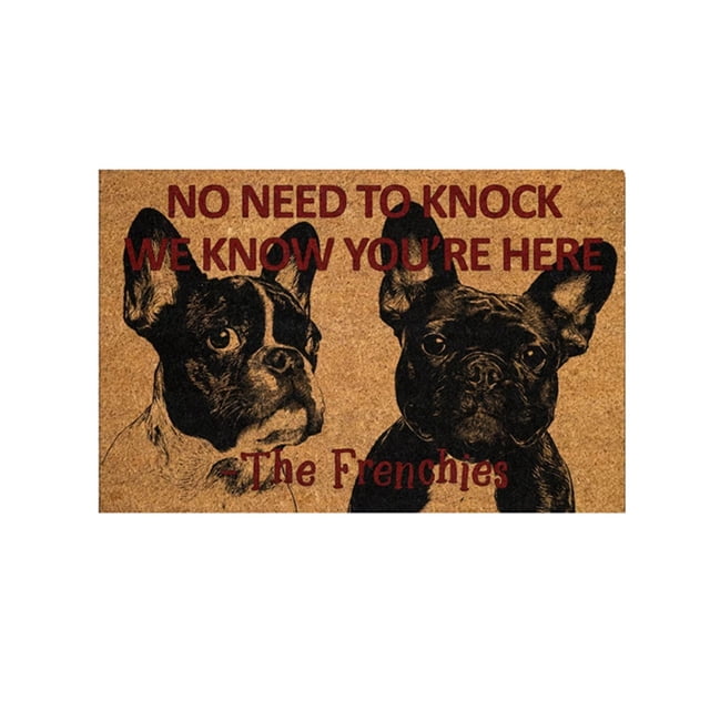 Summer Doormat Cute Doormats Small Indoor Door Mats for Entryway Outdoor Rug Waterproof Front Door Outdoor Home Decor Front Door Mat Welcome Mats for Entryway, Porch, 16x24 Inch NO NEED TO KNOCK