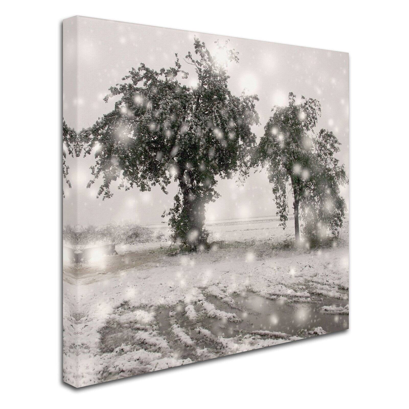 Trademark Fine Art "Winter Romance" Canvas Art by Beata Czyzowska Young