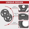 thumbnail image 3 of FlexWave 4FT EZ Curl Barbell Set with 5 Pairs of 3-Hole Cast Iron Plates (2.5–45LB), Home Gym Weight Set, 3 of 6