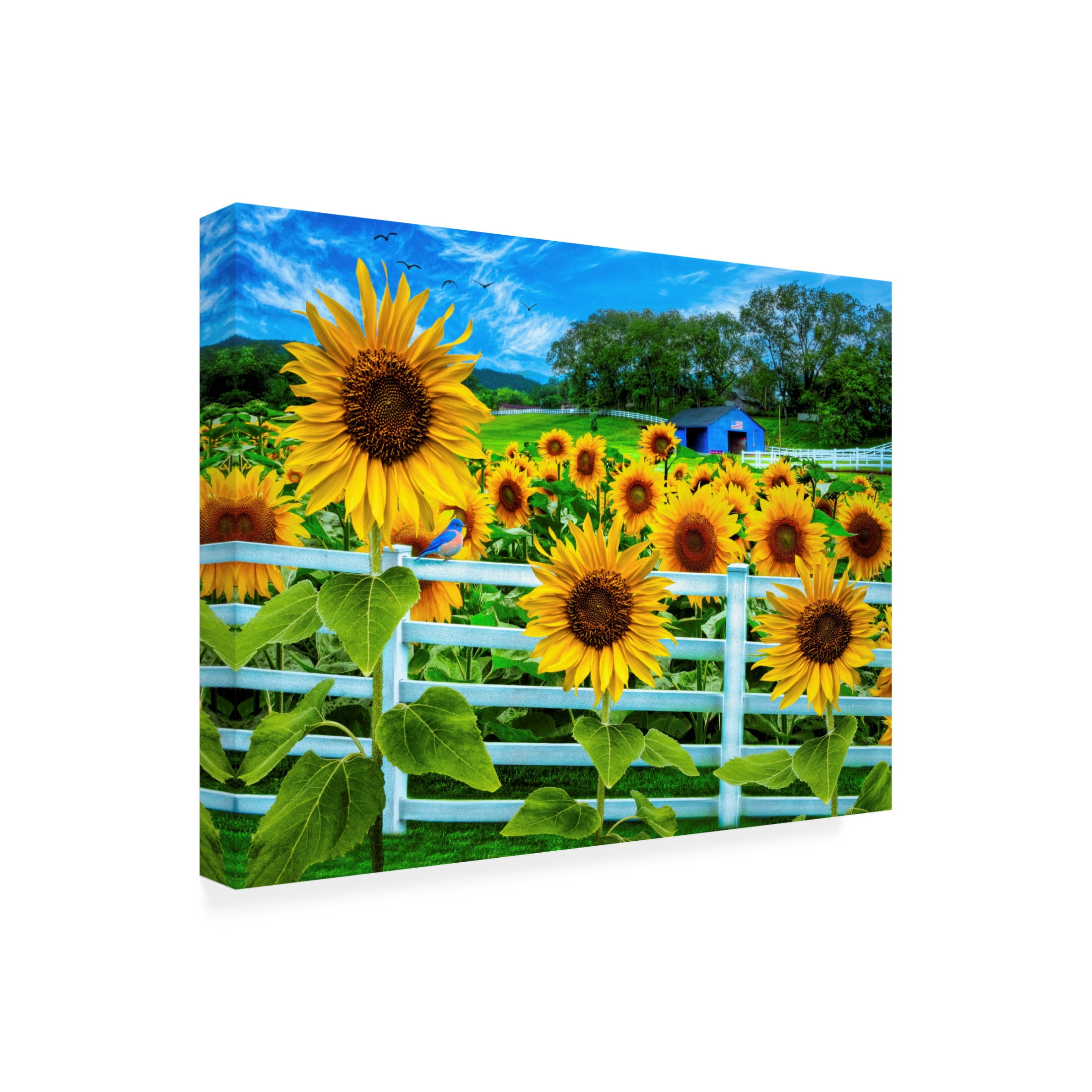 Canvas Wall Art - Celebrate Life Gallery 'Sweet Summer Sunflowers' Wall Art for Living Room, Bedroom, or Office Décor by Trademark Fine Art - 47 x 35 Inches