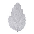 thumbnail image 1 of Manteles Individuales Vianney Aspen mantel hoja individual, 1 of 3