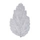 thumbnail image 1 of Manteles Individuales Vianney Aspen mantel hoja individual, 1 of 3