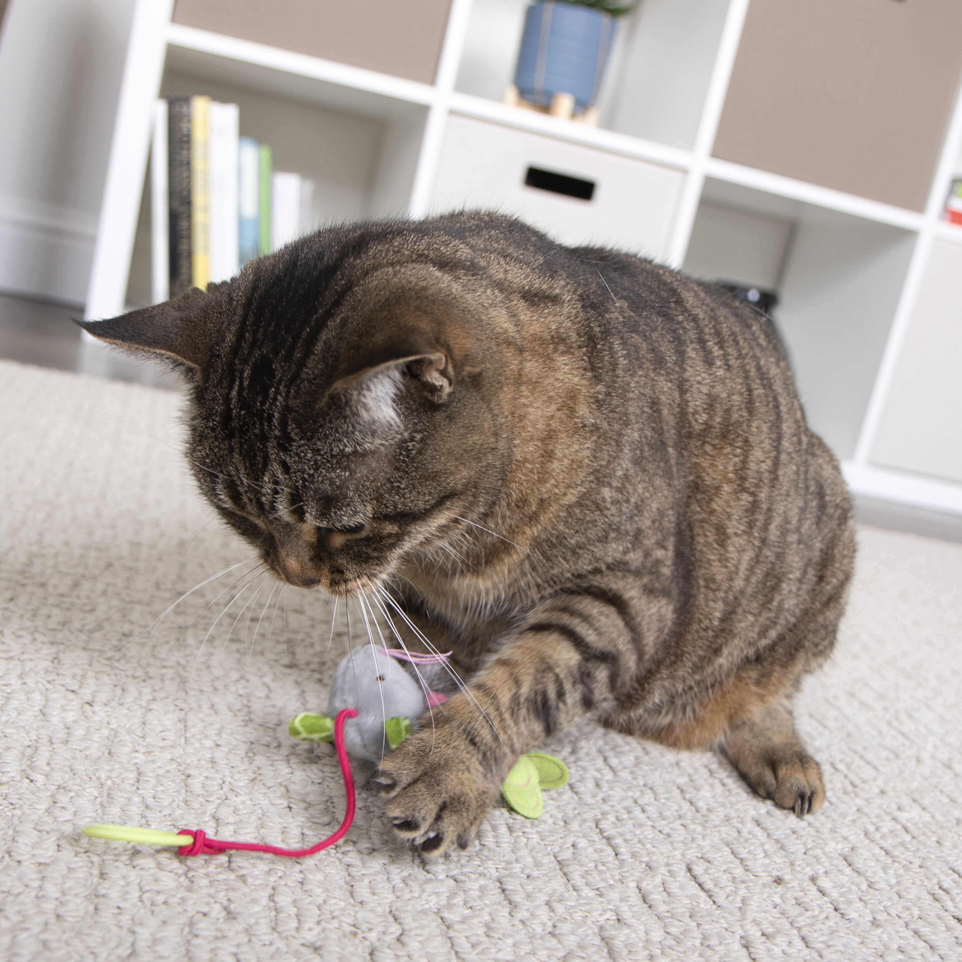 SmartyKat Bouncy Mouse Interactive Bungee Cat Toy