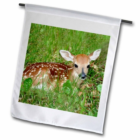 3dRose, Fawn, 12 x 18 inch Garden Flag