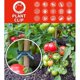 thumbnail image 3 of Clips para fijar plantas: 40 clips verdes para plantas, tamaño L, ayuda para trepar plantas trepadoras en estacas en espiral o estacas de bambú, 3 of 5