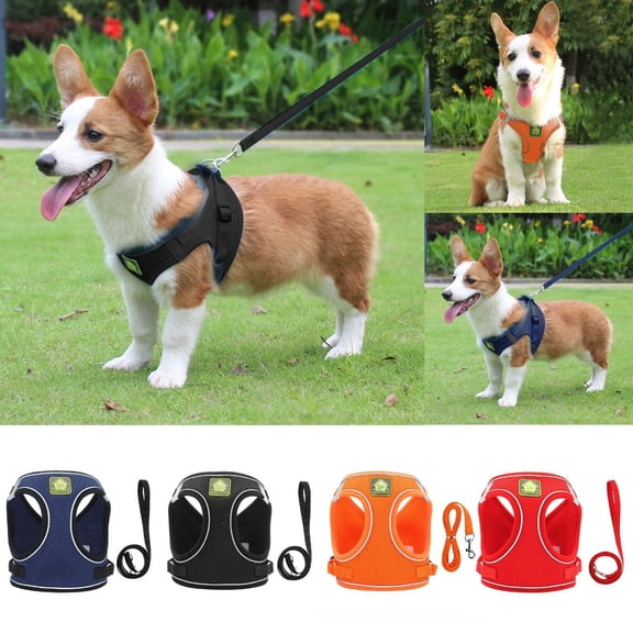 Reflective Dog Harness Breathable Pet Vest with Leash for Outdoor Puppy Play and Training Supplies