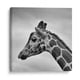 thumbnail image 1 of Cuadro decorativo - Jirafa en blanco y negro 25x25 Canvas Lab Animales, Blanco y negro, Jirafas, Naturaleza, Animales y naturaleza,, 1 of 2