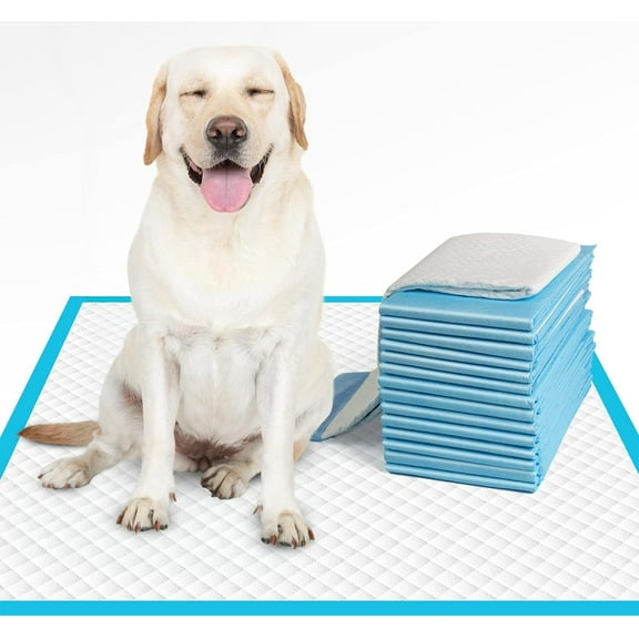 Barking n Purring 20 Count - Pet Pee Pads for Dogs - Leak-Proof Training Pads - Disposable Pee Pads for Dogs - Extra Large Pee Pads - Potty Pads for Dogs XXL - Puppy Pee Pads for Dogs (Medium), Gray