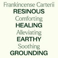 thumbnail image 4 of Plant Therapy Frankincense Essential Oil, 100% Pure, USDA Organic, Undiluted, Aromatherapy, Therapeutic Grade, 10 mL, 4 of 7