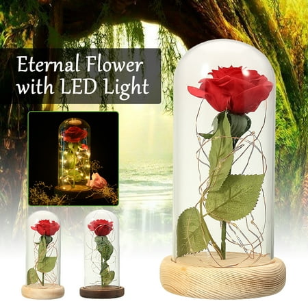 Beauty And Enchanted Preserved Fresh Red Rose The Beast Glass Cover + LED Light Unique Valentine's Day