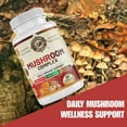 thumbnail image 4 of All Natural Mushroom Complex (10 in 1). Daily Immune Support with Lions Mane, Chaga, Resihi. Dairy Free, Soy Free. 60 Capsules, USA Made., 4 of 9