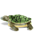 thumbnail image 2 of Turtle Slippers - Large, 2 of 4