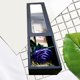 thumbnail image 3 of Caja de papel Kraft shaofei con tiras de PVC 10 unidades con ventana color negro, 3 of 5